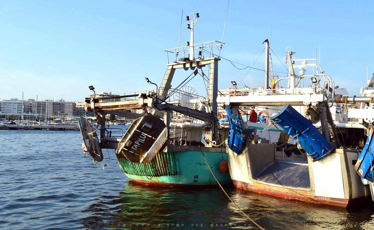 11 SANTA POLA PORT DE PECHE (133).JPG
